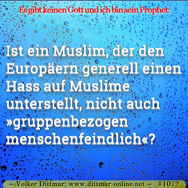 Ist ein Muslim, der den Europäern generell einen Hass auf Muslime unterstellt, nicht auch »gruppenbezogen menschenfeindlich«? 
