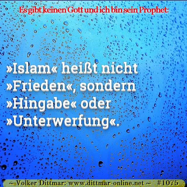 »Islam« heißt nicht »Frieden«, sondern »Hingabe« oder »Unterwerfung«. 